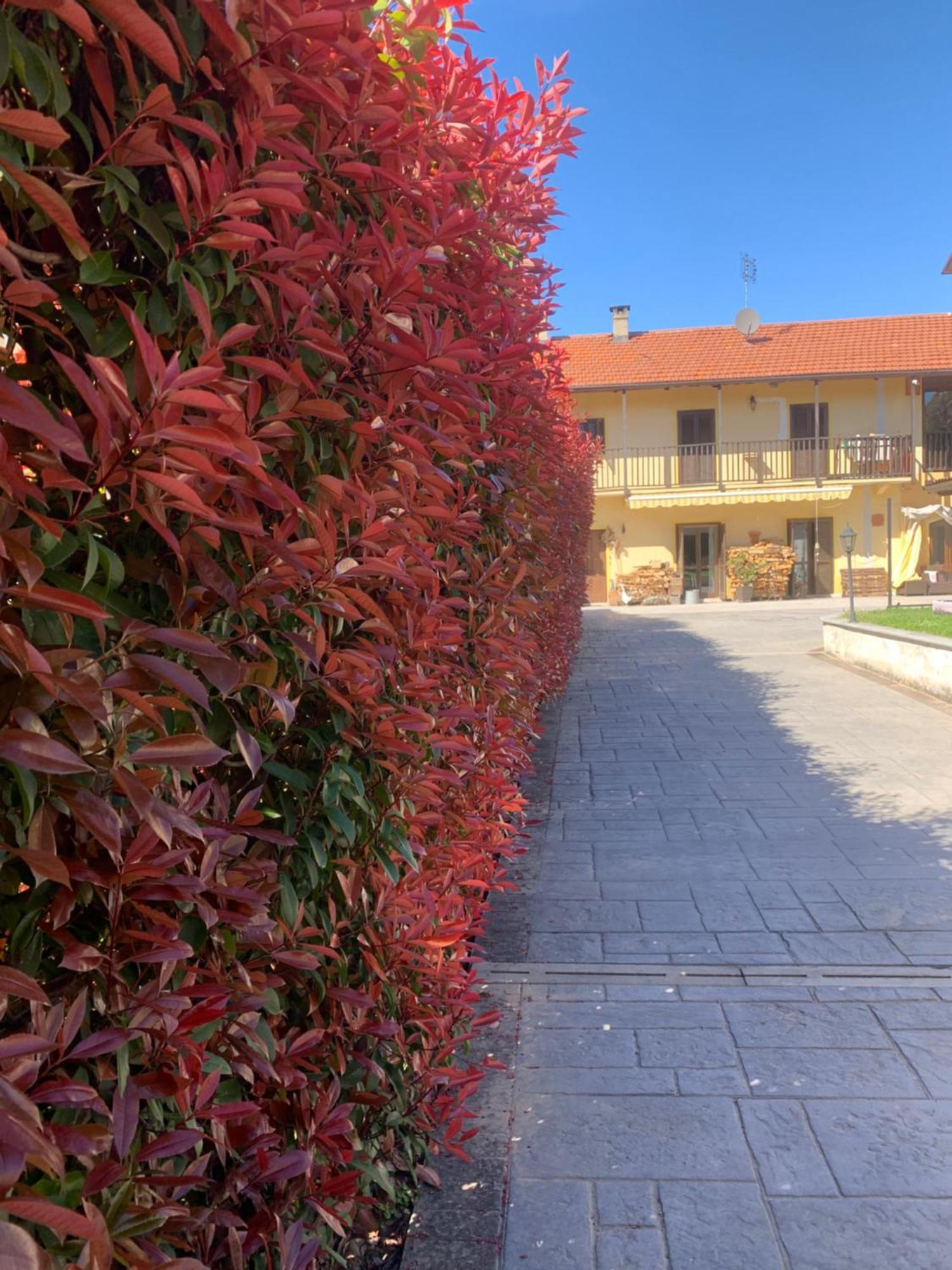Apartmán Casarte: Monolocale Terra Alpignano Exteriér fotografie